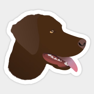 Chocolate Labrador Sticker